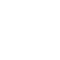 Vector