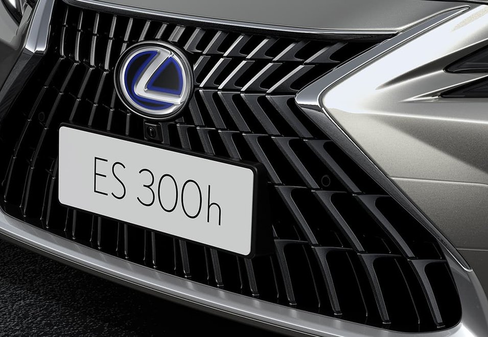 Parrilla en forma de huso única