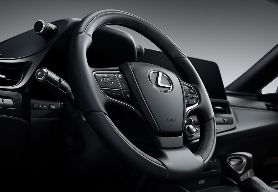 asistencia de dirección de emergencia